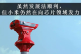 小米投资<font color='red'>芯</font><font color='red'>原</font><font color='red'>微电子</font>,是否能在国产<font color='red'>芯</font>风口释放更多潜能?