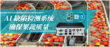 <font color='red'>AI</font> 缺陷检测系统,确保果蔬质量