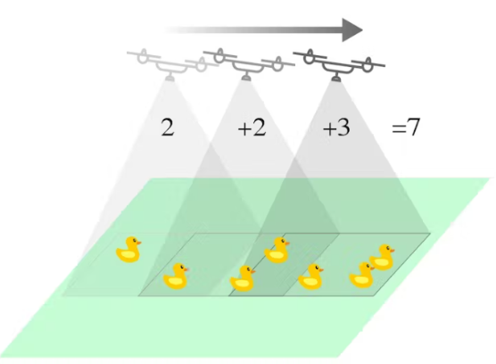 Design of a drone wildlife counting system using FOMO object detection algorithm