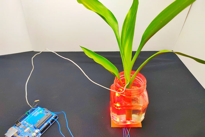 How to Build a Touch-Based Color-Changing Plant Using Arduino
