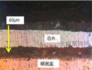 Figure (5) Cross-section of the solid crystal layer (solid crystal layer thickness 60 microns)