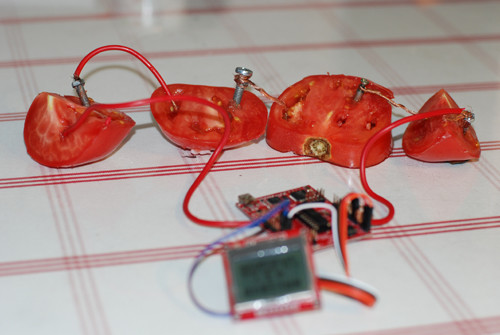 Fruit battery drives LaunchPad (MSPG2553) + Nokia5110 - jiwm - Ji Weiming's Blog