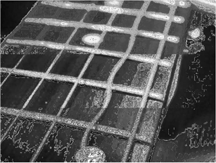 blob.png?imageView2/2/w/550