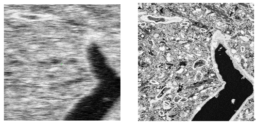 blob.png?imageView2/2/w/550