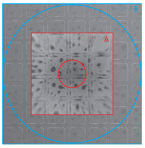 blob.png?imageView2/2/w/550