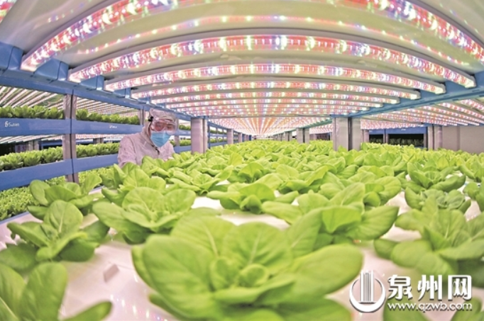 图片.png?imageView2/2/w/550