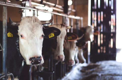 blob.png?imageView2/2/w/550