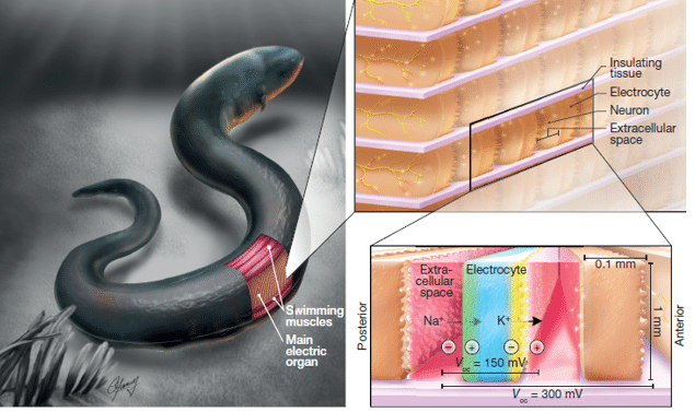 1519625192937633.png?imageView2/2/w/550 图片.png?imageView2/2/w/550