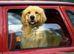 2.png?imageView2/2/w/550