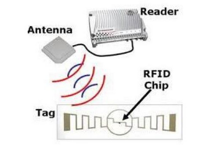 图片.png?imageView2/2/w/550