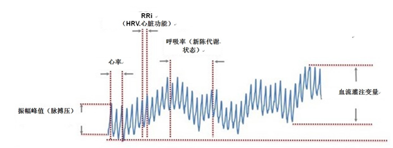 image.png?imageView2/2/w/550