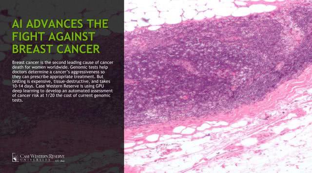 2.jpg?imageView2/2/w/550