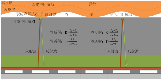 图片.png?imageView2/2/w/550