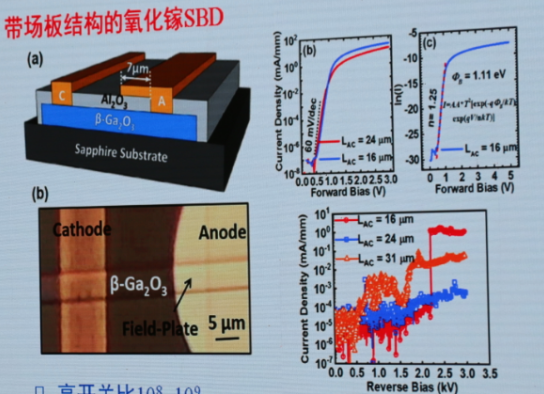 图片.png?imageView2/2/w/550