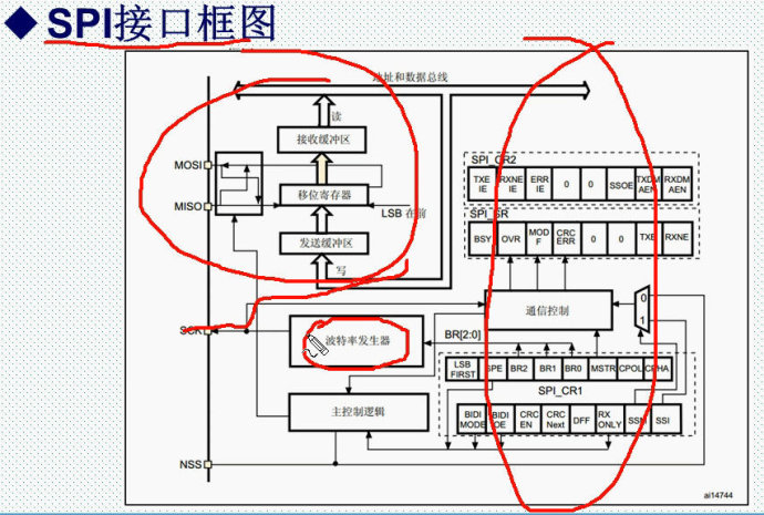 55.SPI interface principle and configuration