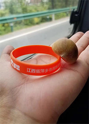 1540288569536860.jpg?imageView2/2/w/550 未标题-2.jpg?imageView2/2/w/550