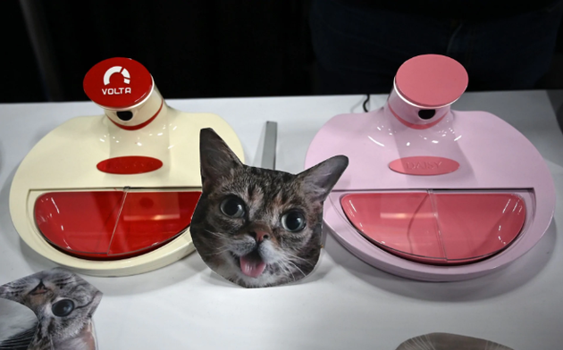 image.png?imageView2/2/w/550