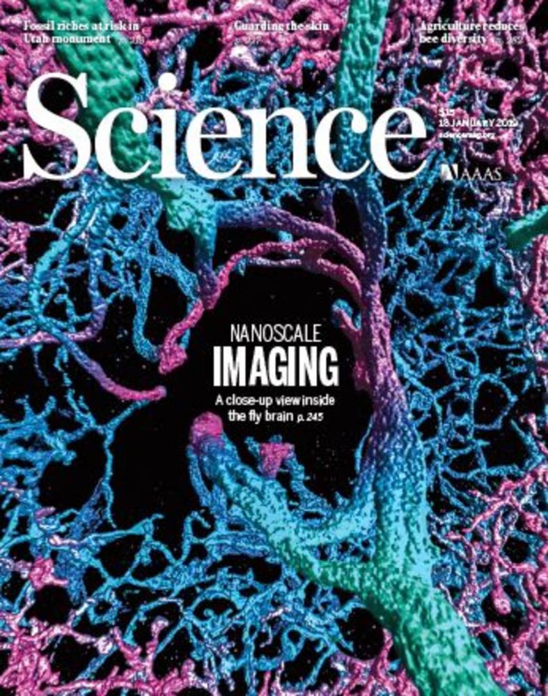 Science封面里程碑研究：纳米级成像，人类终于看清大脑每个神经元        
