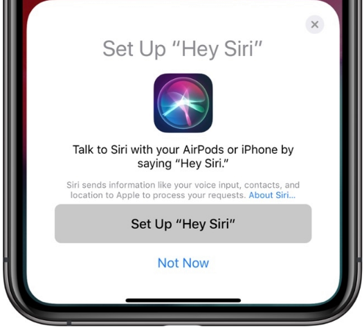 1548400955228025016.png?imageView2/2/w/550 blob.png?imageView2/2/w/550