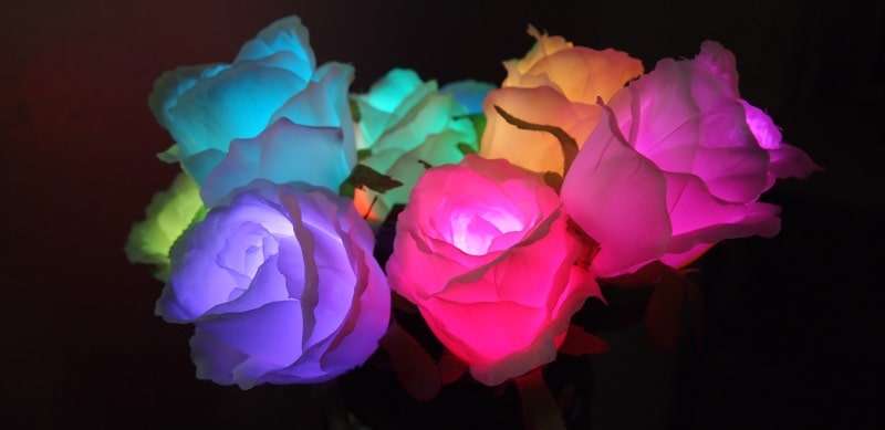 Valentine19021404.jpg?imageView2/2/w/550