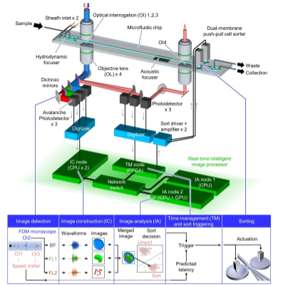 1550481738333314.png?imageView2/2/w/550 image.png?imageView2/2/w/550
