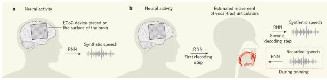 Nature今发表脑机接口领域重大突破：华裔教授成功解码脑电波，并合成语音