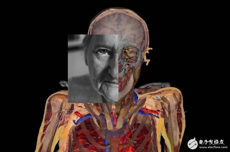 人体数字化带来未来医学世界 人体数字化是如何实现的