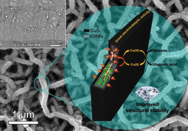 Progress in Electrochemical Sensing Research of Diamond Thin Film Materials by Institute of Metal Research