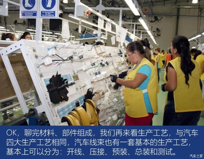 汽车大脑和神经 汽车大脑和神经