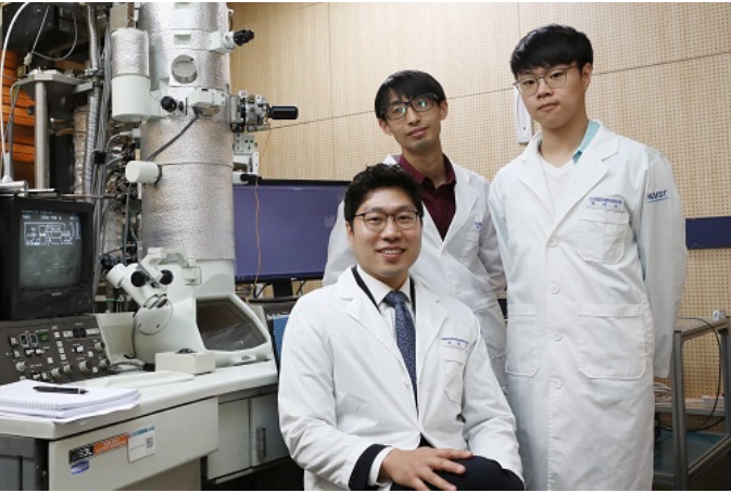 电池，KAIST,硫化铜,电极材料 ,钠离子电池，可循环性