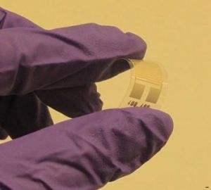 漂亮！石墨烯传感器应用在农业领域让管理愈加智能化