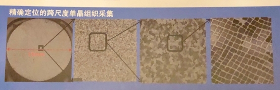 C:UsersfeiDesktop跨尺度.jpg?imageView2/2/w/550