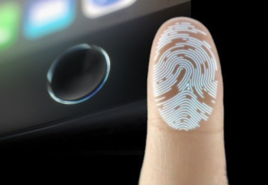 image.png?imageView2/2/w/550