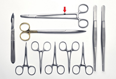 image.png?imageView2/2/w/550