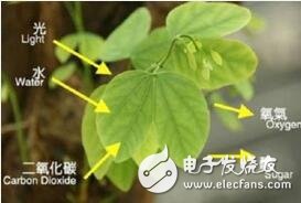 二氧化碳检测仪的应用,控制二氧化碳确保公共健康安全