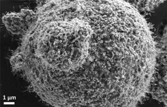 微信截图_20200221112958.png?imageView2/2/w/550 微信截图_20200221112958.png?imageView2/2/w/550