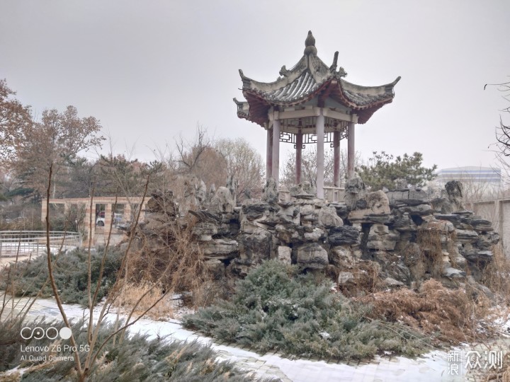 宅家也能拍美图,联想Z6 pro 5G版相机体验_新浪众测