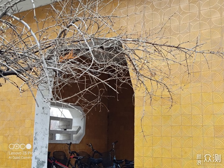 宅家也能拍美图,联想Z6 pro 5G版相机体验_新浪众测