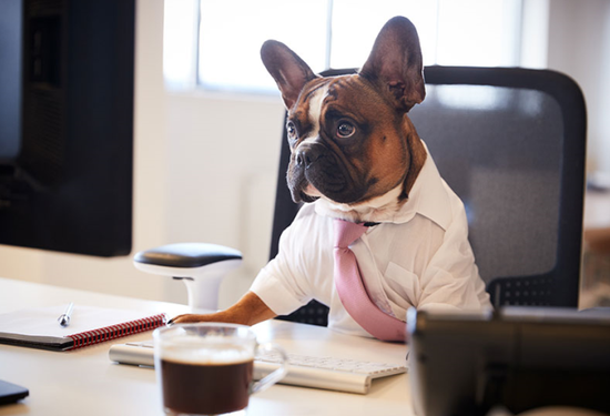 1587374524330847.png?imageView2/2/w/550 image.png?imageView2/2/w/550