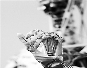 机器人生物行走技术