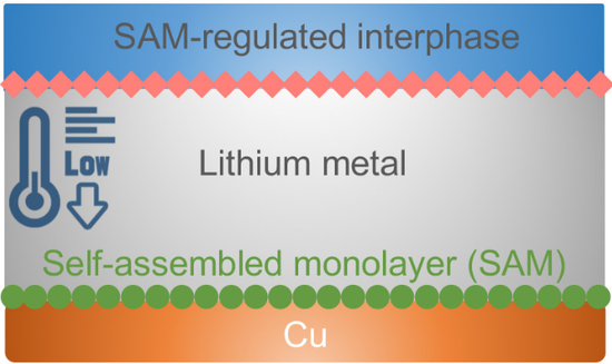 电池,保护性薄层,锂金属电池,电池冷充电,快速充电,电化学活性分子 电池,保护性薄层,锂金属电池,电池冷充电,快速充电,电化学活性分子