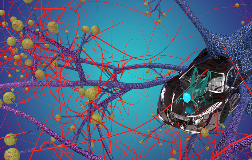 黑科技，前瞻技术，自动驾驶，蝗虫避碰,自动驾驶汽车,汽车避碰