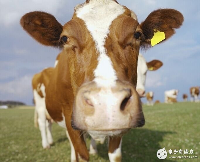 ARM核心板在溯源秤中的应用