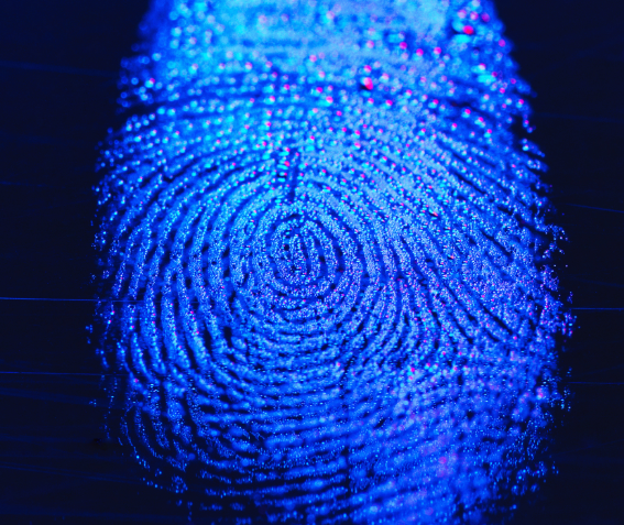 1603258713139917.png?imageView2/2/w/550 image.png?imageView2/2/w/550