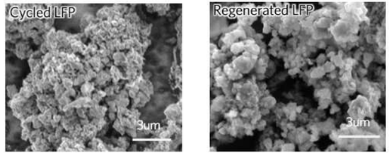 电池,加州大学圣地亚哥分校,锂离子电池回收,磷酸铁锂正极,柠檬酸,LFP电池 电池,加州大学圣地亚哥分校,锂离子电池回收,磷酸铁锂正极,柠檬酸,LFP电池