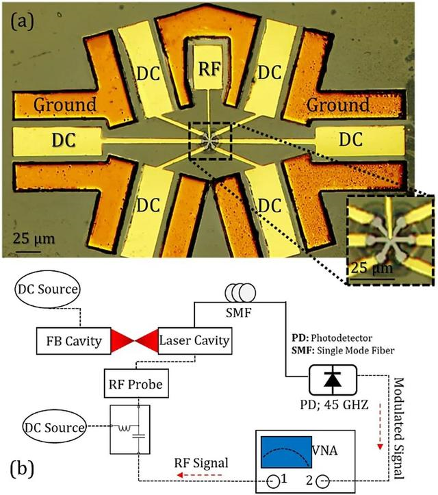 image.png?imageView2/2/w/550