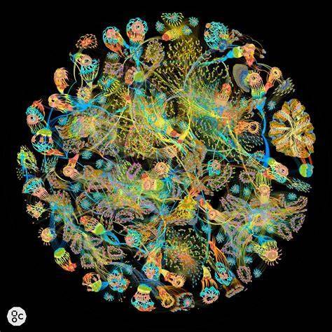 See the source image