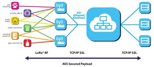 image1_lorawan_structure