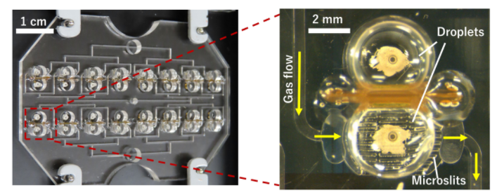 image.png?imageView2/2/w/550