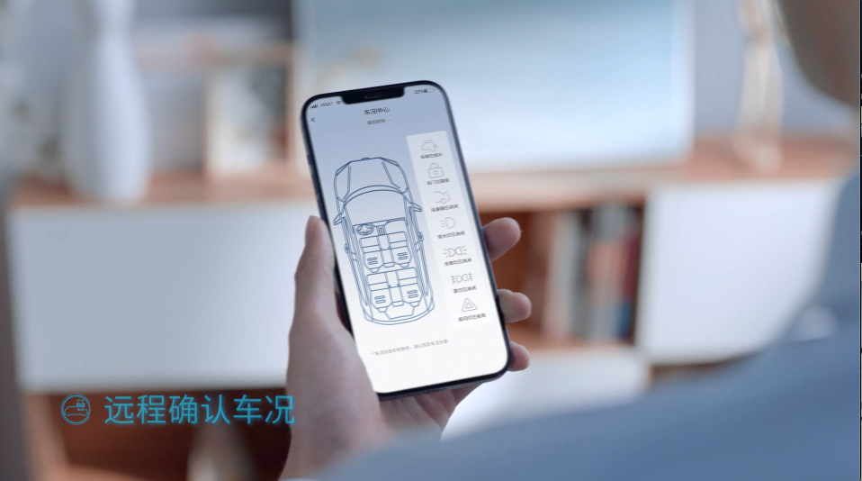 远程确认车况.jpg?imageView2/2/w/550